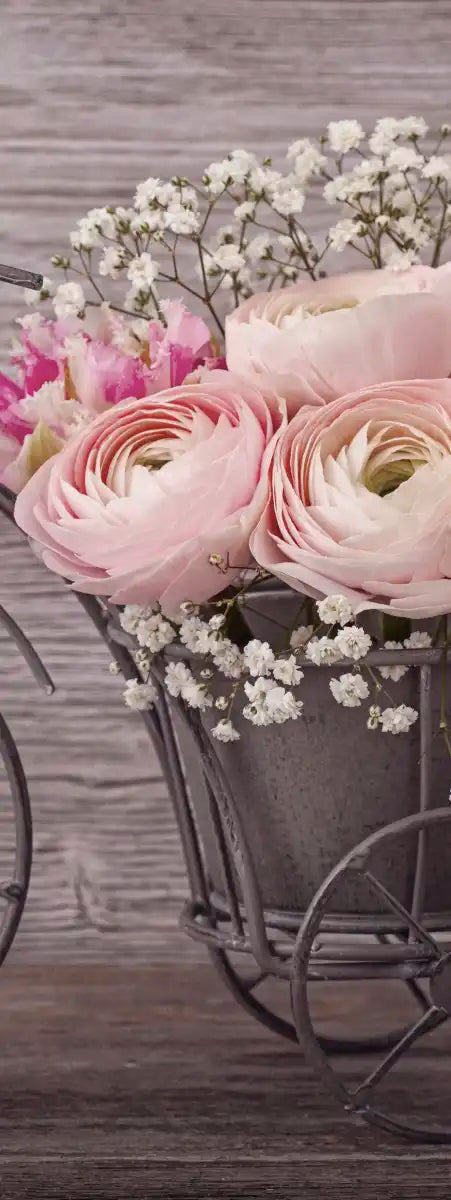 Ranunculus Bicycle Vase Wall Art