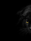 Rare Black Panther Wall Art