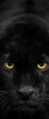 Rare Black Panther Wall Art