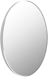 Jarron Modern Metallic Silver Wall Mirror