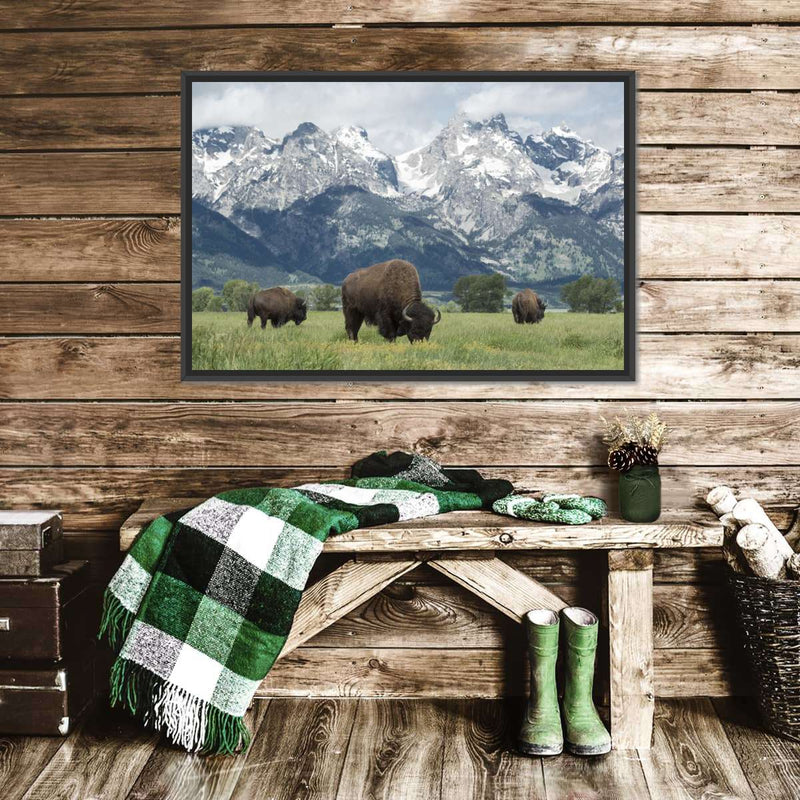 Grazing Teton Bison Wall Art