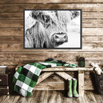 Long Haired Cow Wall Art