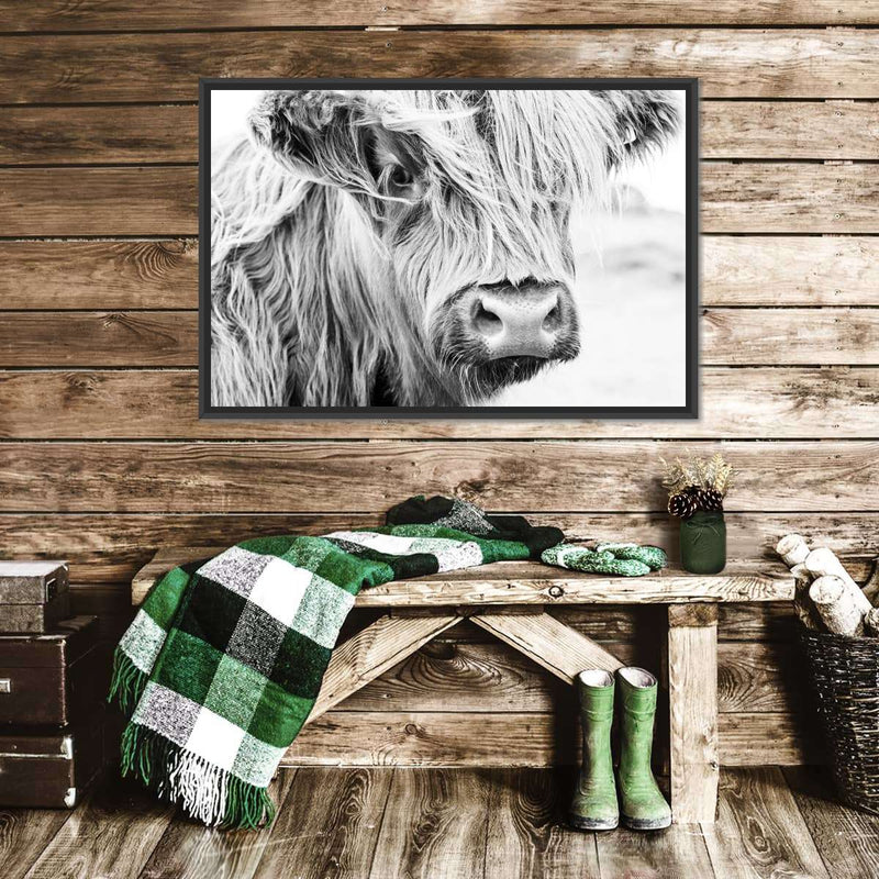 Long Haired Cow Wall Art