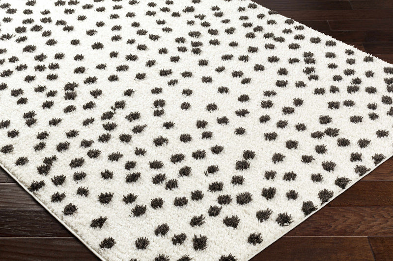 Cansu Black & White Area Rug
