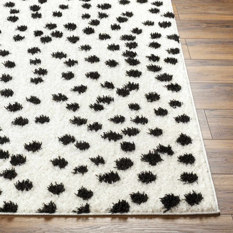 Cansu Black & White Area Rug