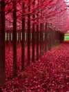 Red Forest Wall Art