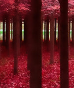 Red Forest Wall Art