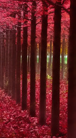 Red Forest Wall Art