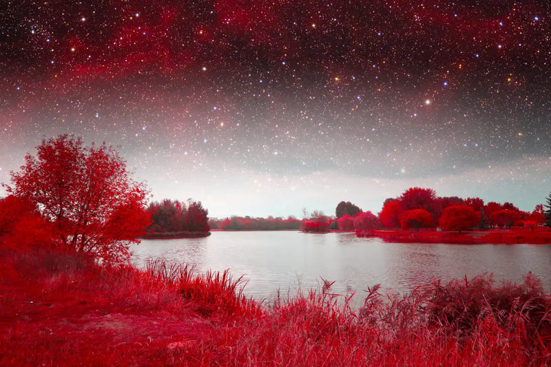 Red Mystical Spring Wall Art