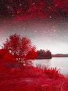 Red Mystical Spring Wall Art