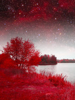 Red Mystical Spring Wall Art