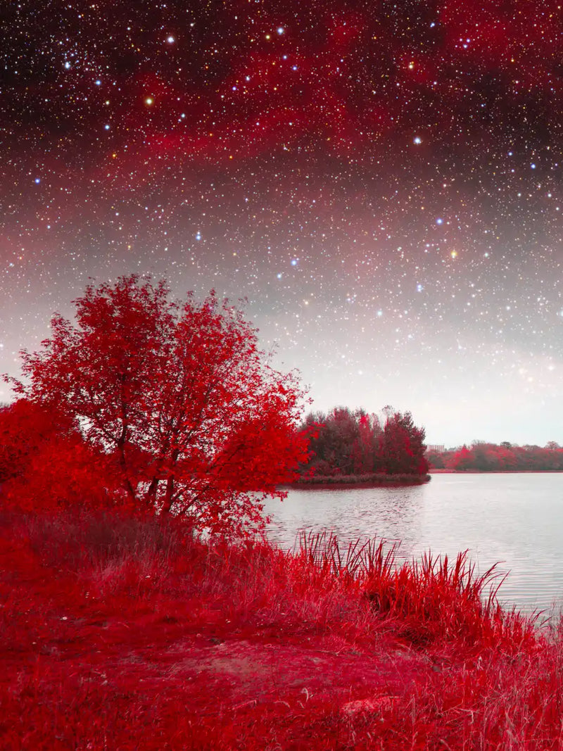 Red Mystical Spring Wall Art