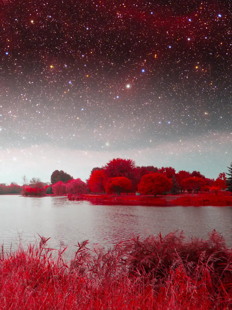 Red Mystical Spring Wall Art