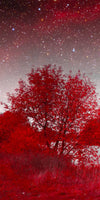 Red Mystical Spring Wall Art