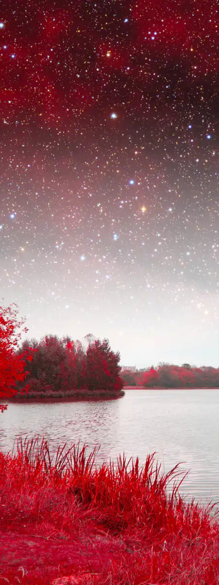 Red Mystical Spring Wall Art