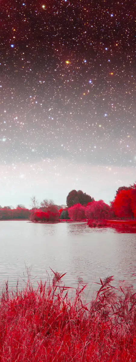 Red Mystical Spring Wall Art