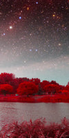 Red Mystical Spring Wall Art
