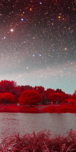 Red Mystical Spring Wall Art