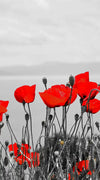 Red Poppy Field Pop Wall Art