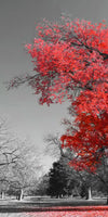 Red Tree Wall Art