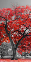 Red Tree Wall Art