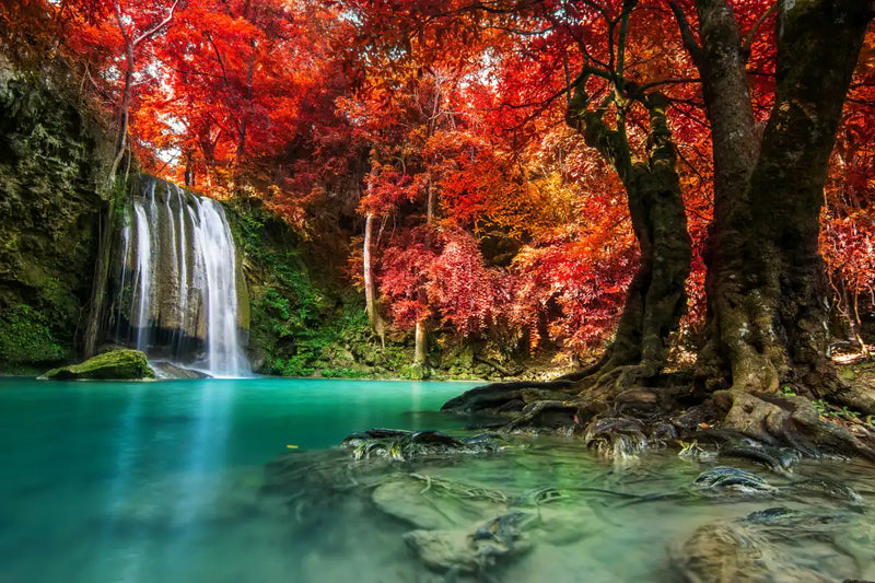 Red Waterfall Wall Art