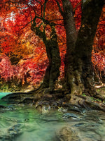 Red Waterfall Wall Art