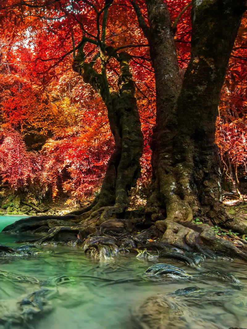 Red Waterfall Wall Art