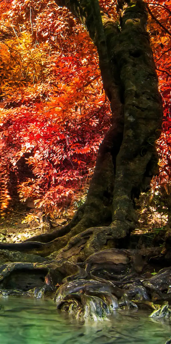 Red Waterfall Wall Art