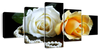 Pearls And Roses Wall Art