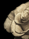 Retro Rose Wall Art