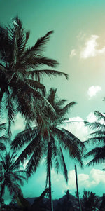 Retro Style Palm Trees Wall Art