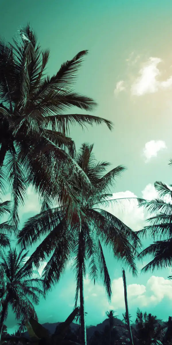 Retro Style Palm Trees Wall Art