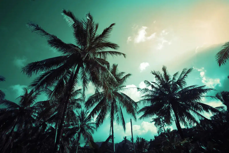 Retro Style Palm Trees Wall Art