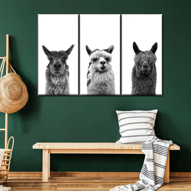 Trio Alpaca Wall Art