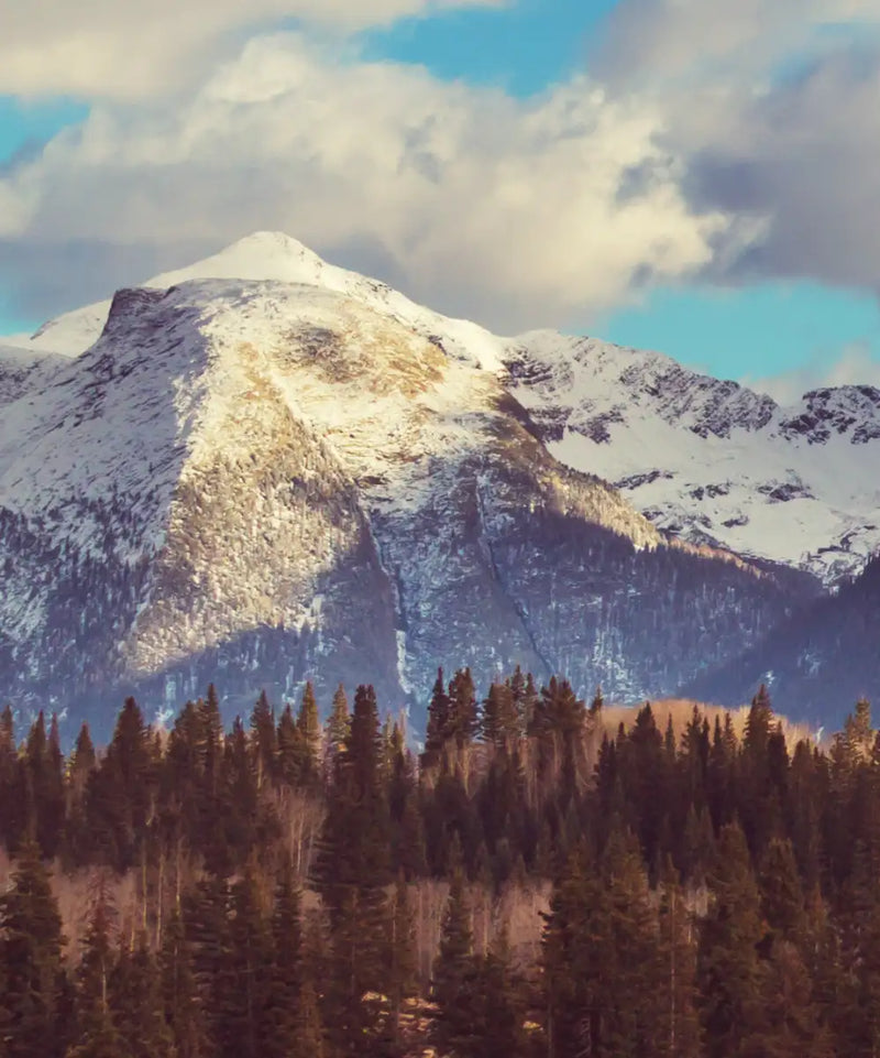 Rocky Mountain Landscape Wall Art