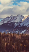 Rocky Mountain Landscape Wall Art