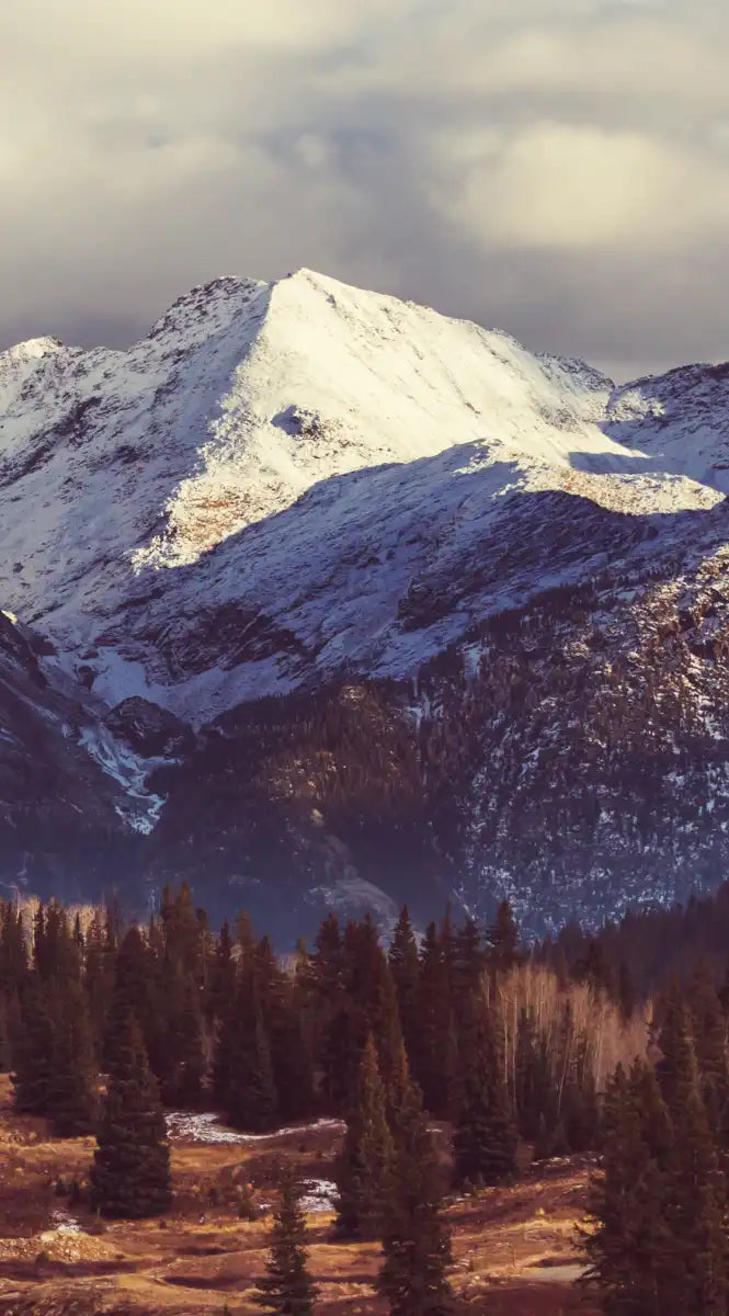 Rocky Mountain Landscape Wall Art
