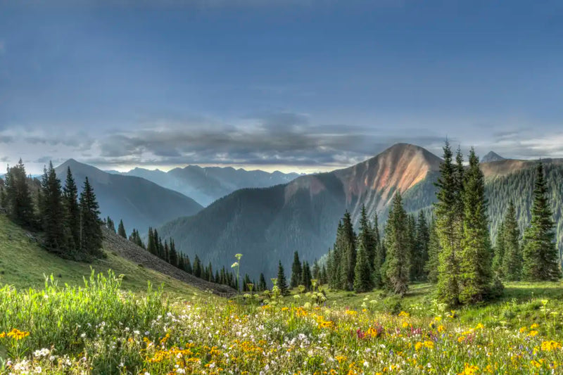 Rocky Mountain National Park Meadow Wall Art