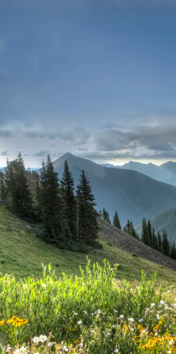 Rocky Mountain National Park Meadow Wall Art