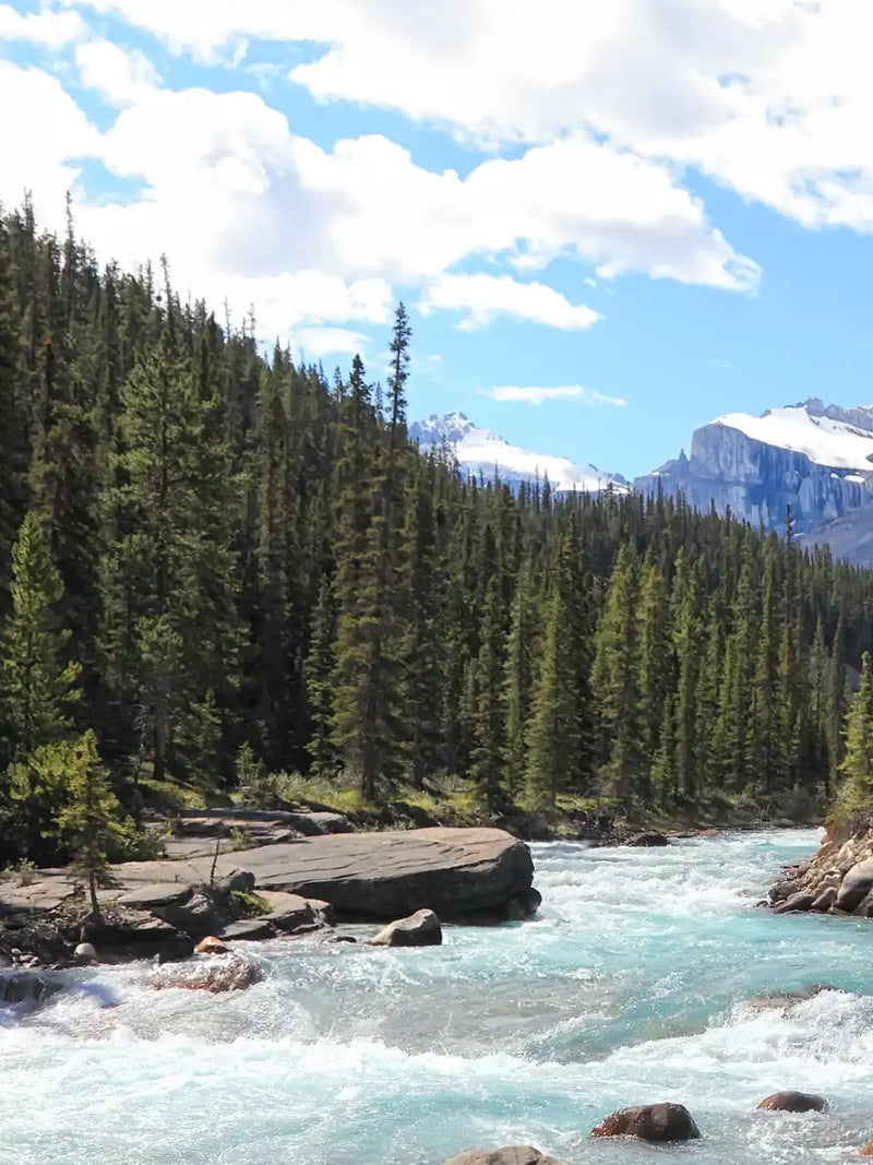 Rocky Mountains River Wall Art