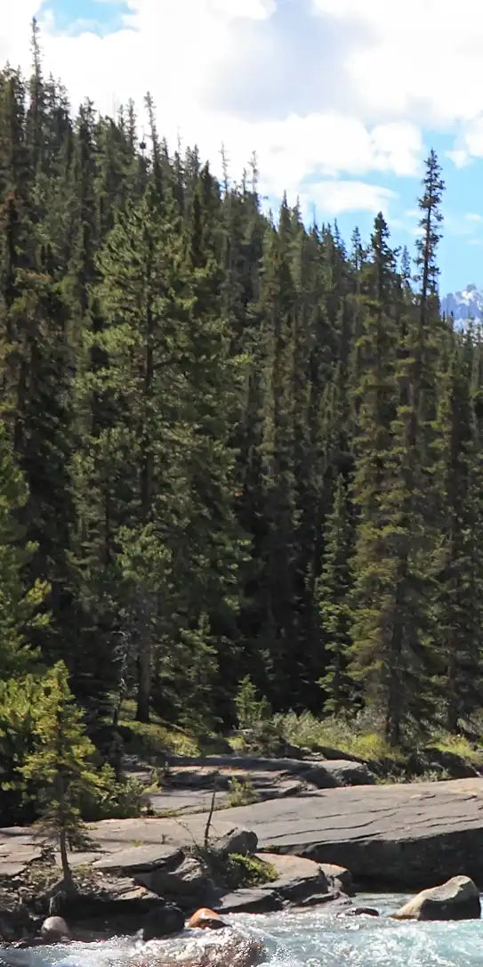 Rocky Mountains River Wall Art