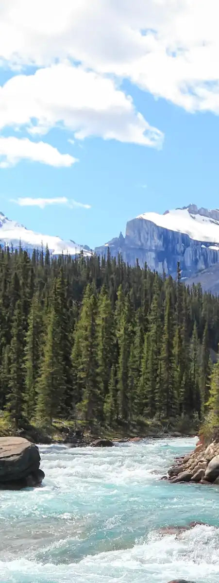 Rocky Mountains River Wall Art