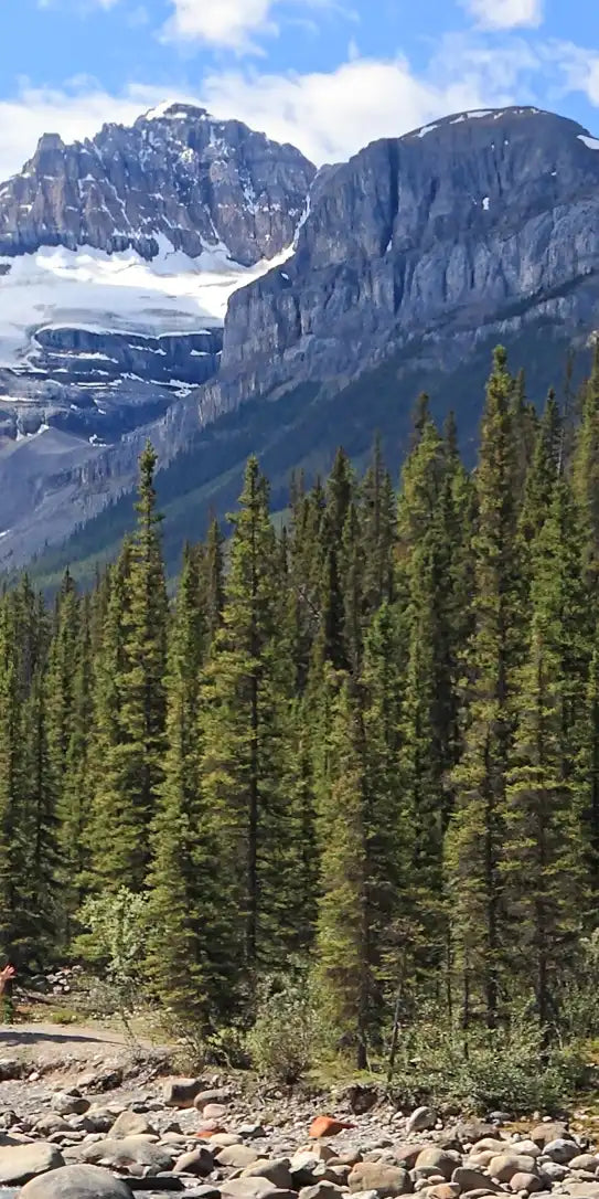Rocky Mountains River Wall Art