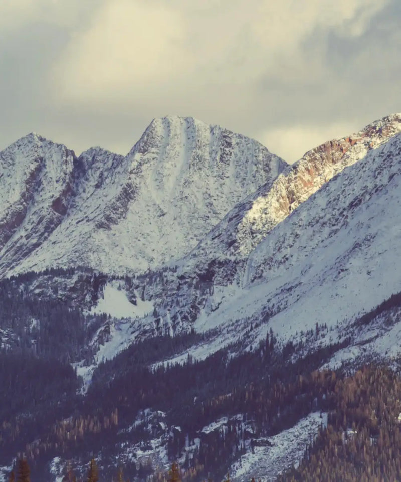 Rocky Mountains Wall Art