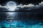 Romantic Full Moon Wall Art