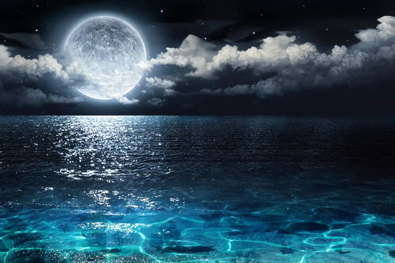 Romantic Full Moon Wall Art
