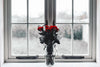 Rose Anticipation Wall Art