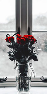 Rose Anticipation Wall Art