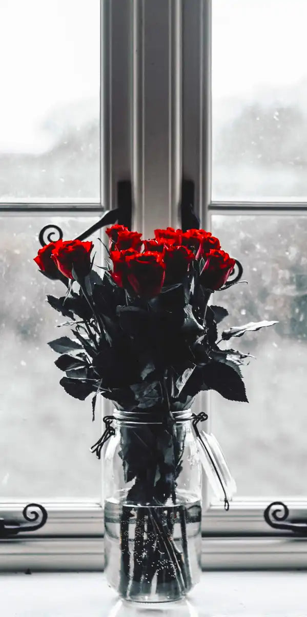 Rose Anticipation Wall Art